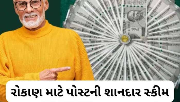આ છે પોસ્ટ ઓફિસની 5 બેસ્ટ સેવિંગ સ્કીમ્સ, દર મહિને વ્યાજથી થશે શાનદાર કમાણી