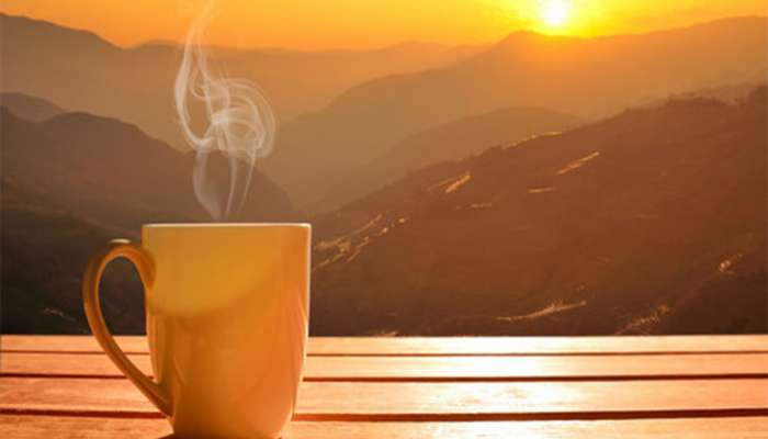 Weight Loss Tea: સવારની ચામાં આ મસાલો ઉમેરી દો, ઝડપથી ઘટશે પેટની ચરબી, સાથે થશે આ 4 ફાયદા