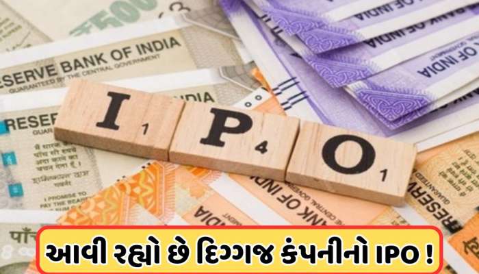IPO લાવવાનો પ્લાન બનાવી રહી છે આ કંપની, એમેઝોને કર્યું છે કંપનીમાં પૈસાનું રોકાણ