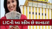માત્ર 4 વર્ષ સુધી ભરો પ્રીમિયમ અને મેળવો 1 કરોડનો ફાયદો, જાણો LICની આ સ્કીમ વિશે...