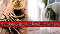 દૂધમાં અશ્વગંધા પાઉડર મિક્સ કરીને પીવાથી દૂર થશે આ સમસ્યા, નસ-નસમાં ભરી દેશે તાકાત!