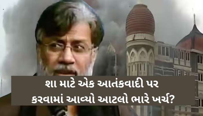 તહવ્વુર રાણાને આ પ્લેન દ્વારા લાવવામાં આવ્યો દિલ્હી, કેમ પસંદ કરાયું આજ પ્લેન?