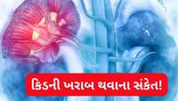 કિડની ખરાબ થાય તો ચામડી પર જોવા મળે આ 4 લક્ષણ, ઘરગથ્થું ઉપાય છોડી ડોક્ટર પાસે દોડો