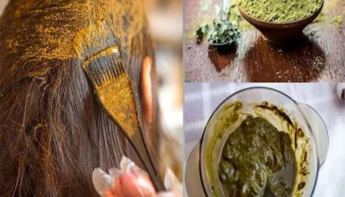Mehndi Side Effects: સફેદ વાળ છુપાવવા વારંવાર મહેંદીનો ઉપયોગ નુકસાનકારક, વાળ થઈ જશે રુક્ષ અને પાતળા 