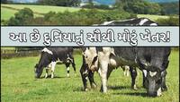 દુનિયાના 49 દેશોથી મોટું છે આ 'ખેતર', સ્ટાફની સંખ્યા જાણીને થઈ જશો હેરાન!
