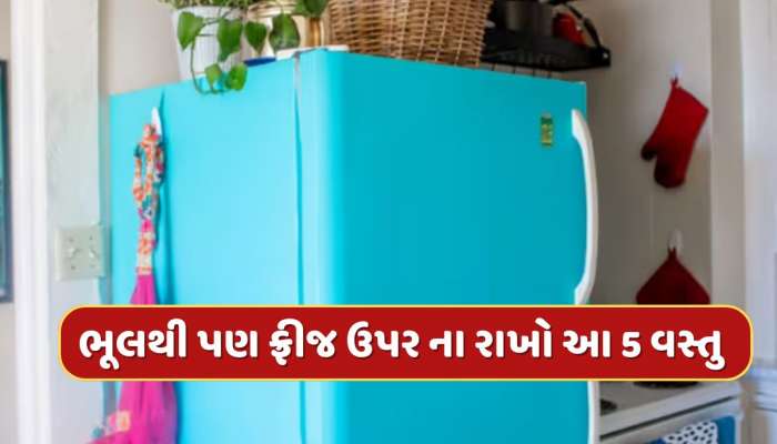 Vastu Tips : ફ્રીજ ઉપર આ 5 વસ્તુઓ રાખવાથી આવે છે ગરીબી, સમયસર જાણી લો નહીંતર થશે નુકશાન