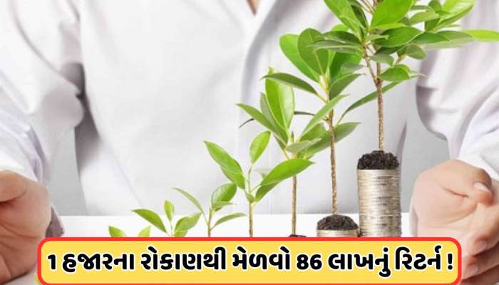 દર મહિને 1000નું રોકાણ કરીને મેળવો 8600000નું ફંડ, જાણો LICની નવી મ્યુચ્યુઅલ ફંડ સ્કીમ વિશે