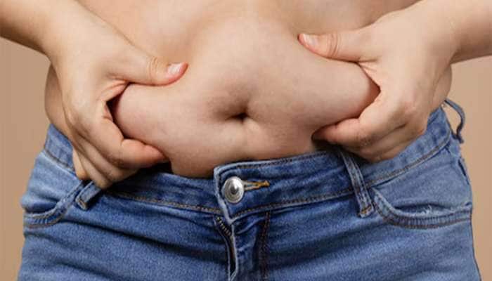 Weight Loss: 1 વાટકી દહીંમાં આ વસ્તુ ઉમેરી ખાવા લાગો, ઘટવા લાગશે પેટ પર જામેલી ચરબી