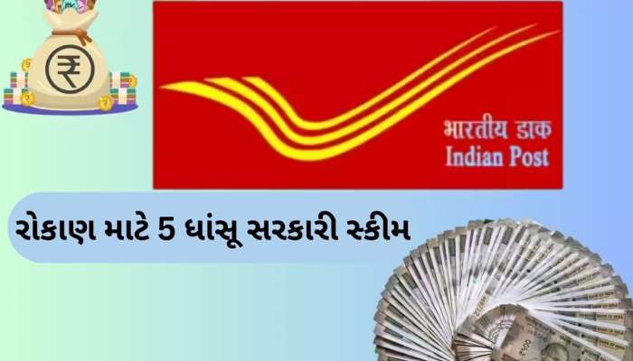 પૈસાનો ભંડાર છે આ 5 સરકારી સ્કીમ્સ, ધમાકેદાર રિટર્ન સાથે થશે બમ્પર ફાયદો