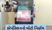 અમદાવાદમાં પાલતુ શ્વાન માટે બનશે સ્મશાન, એક સાથે બે શ્વાનના થઈ શકશે અંતિમ સંસ્કાર