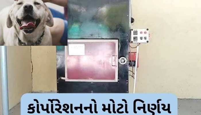 અમદાવાદમાં પાલતુ શ્વાન માટે બનશે સ્મશાન, એક સાથે બે શ્વાનના થઈ શકશે અંતિમ સંસ્કાર