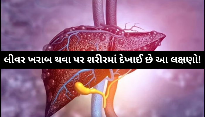 લીવર ખરાબ થવા પર શરીરમાં જોવા મળે છે આ લક્ષણો, રાતના સમયે ભૂલથી પણ આ સંકેતો ન કરો ઈગ્નોર! 