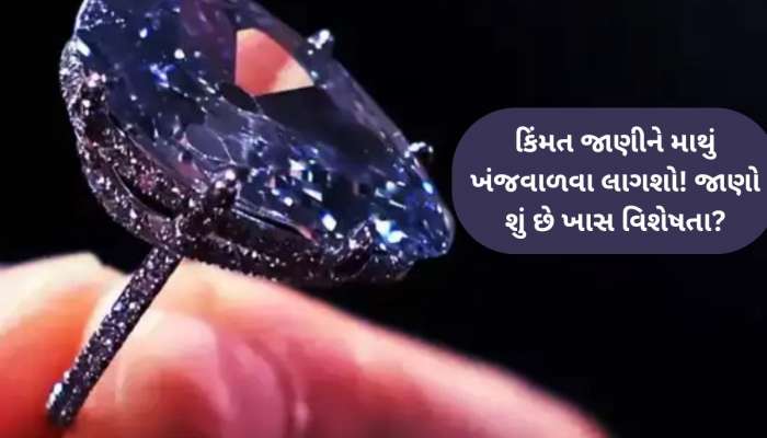 અત્યંત મૂલ્યવાન 'ગોલકોડાં' બ્લુ ડાયમંડની જીનેવામાં થશે હરાજી, ગુજરાતના આ મહારાજાની હતો શાન! 