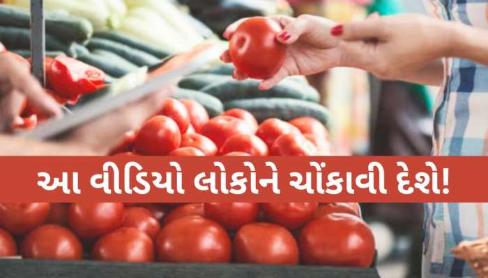 20 રૂપિયામાં મોતનો સોદો! બજારમાં વેચાઈ રહ્યા છે ઝેરી ટામેટાં, આ રીતે જીવ જોખમમાં મુકી રહ્યા છે લોકો 