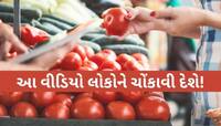 20 રૂપિયામાં મોતનો સોદો! બજારમાં વેચાઈ રહ્યા છે ઝેરી ટામેટાં, આ રીતે જીવ જોખમમાં...