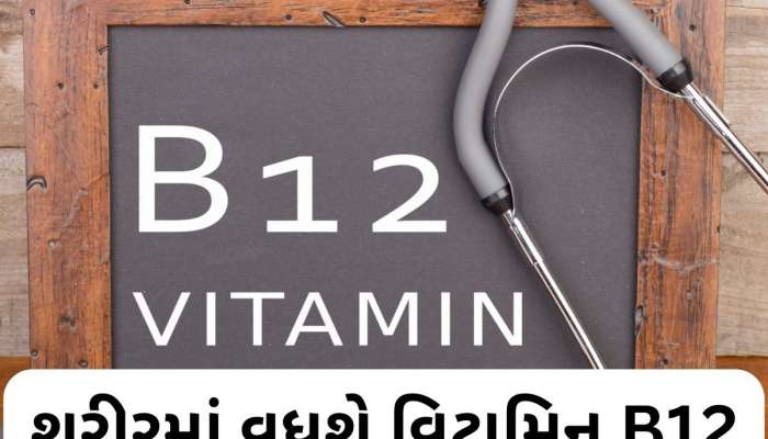 માત્ર 1 ચમચી આ પાવડરને દહીંમાં મિક્સ કરીને ખાઓ, વિટામિન B12 ની ઉણપ કુદરતી રીતે દૂર થશે