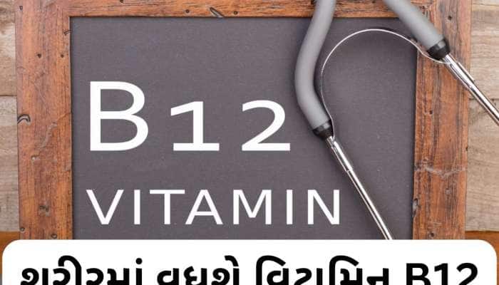 માત્ર 1 ચમચી આ પાવડરને દહીંમાં મિક્સ કરીને ખાઓ, વિટામિન B12 ની ઉણપ થશે દૂર
