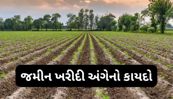 એક વ્યક્તિ કેટલી જમીન ખરીદી શકે? કાયદા અને નિયમ વિશે ખાસ જાણો નહીં તો જવું પડશે જેલમાં!