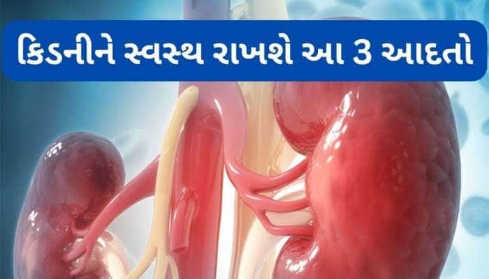 આ 3 કામ કરશો તો કિડની ક્યારેય ડેમેજ નહીં થાય, શરીરનો કચરો પેશાબ વાટે બહાર નીકળી જશે