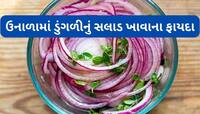 Onion Benefits: ઉનાળામાં આ સમયે રોજ ખાવી કાચી ડુંગળી, શરીરને એક નહીં 5 ફાયદા થશે