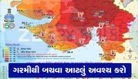 સાવધાન રહેજો! બેદરકારી પડી શકે છે ભારે, ઉનાળામાં ટપોટપ થઈ રહ્યા છે મોત, બચવા અપનાવો 