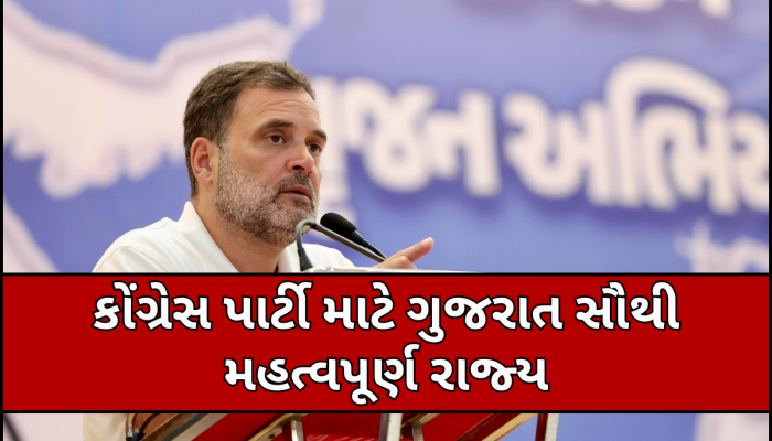 'માત્ર કોંગ્રેસ જ RSS અને ભાજપને હરાવી શકે છે...' ભાજપના ગઢ ગુજરાતમાં ગર્જયા રાહુલ ગાંધી