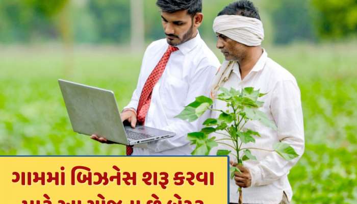ગામમાં રહીને શરૂ કરવો છે બિઝનેસ તો આ યોજના છે બેસ્ટ...સરકાર પણ કરે છે મદદ