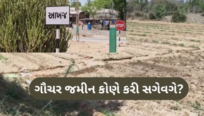 મહેસાણાના આ ગામમાં જમીન કૌભાંડથી ખળભળાટ, ગૌચરની જમીન બારોબાર વેચાઈ ગઈ