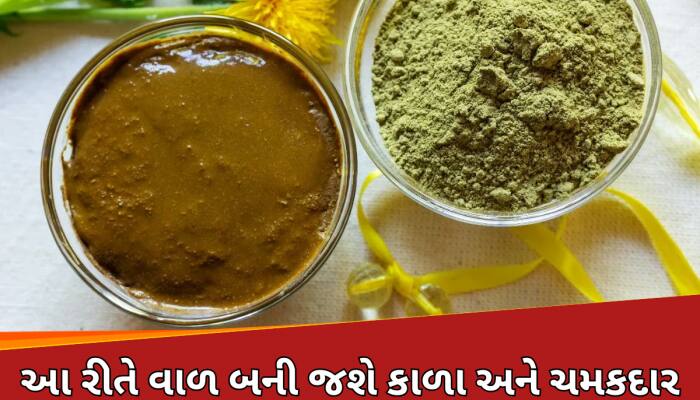 સફેદ વાળને કાળા કરવાનો નેચરલ ઉપાય, મહેંદીમાં મિક્સ કરીને લગાવો આ 3માંથી 1 વસ્તુ