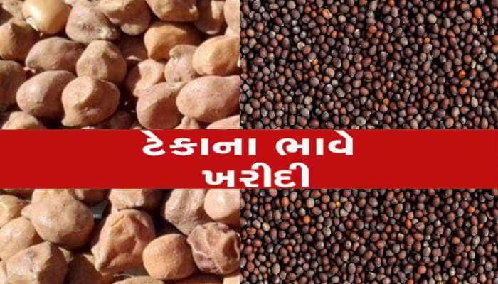 ગુજરાતના ખેડૂતો માટે ખુશખબર : ચણા અને રાયડાના ટેકાના ભાવે ખરીદીની થઈ જાહેરાત