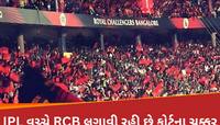 IPL વચ્ચે વિવાદોમાં RCB, હાઈકોર્ટ સુધી પહોંચ્યો મામલો; ટ્રેવિસ હેડે કરી દીધો 'કાંડ'
