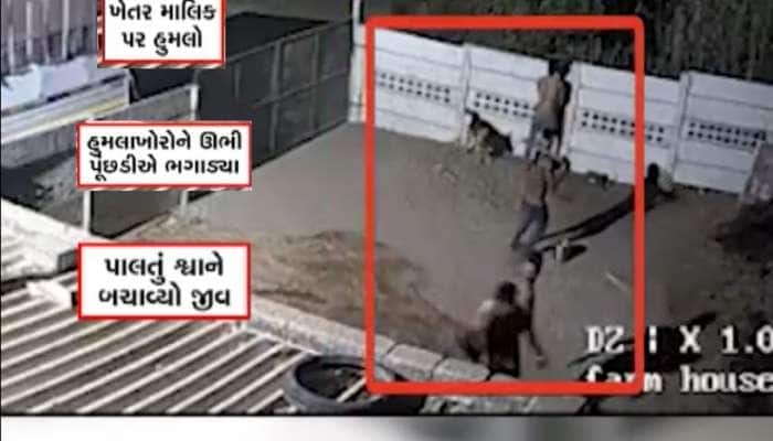 પાળતૂ શ્વાન બન્યો રિયલ હીરો, હુમલાખોરોથી માલિકને બચાવવા શ્વાને ખેલ્યો ખરાખરીનો જંગ