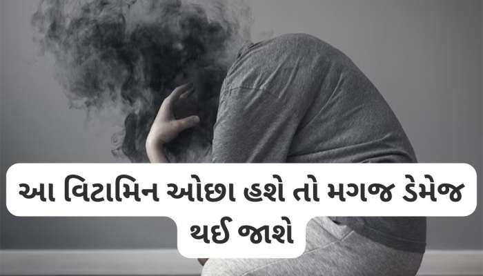 Brain Health: મગજ માટે સૌથી જરૂરી છે આ 3 વિટામિન, ખામીથી થઈ શકે છે બ્રેન ડેમેજ અને ડિપ્રેશન