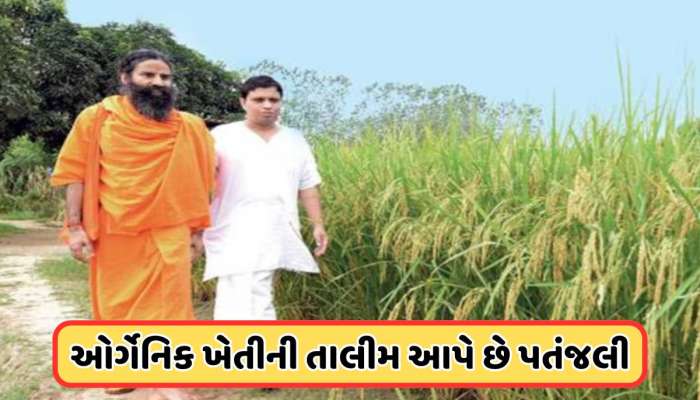 ગામડાઓના વિકાસમાં કેવી રીતે મદદ કરે છે પતંજલિનું કૃષિ મોડેલ?