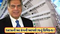 45%થી વધુ તૂટ્યો છે ટાટાનો આ શેર, 172 કરોડનો થયો નફો, આપશે  75નું ડિવિડન્ડ