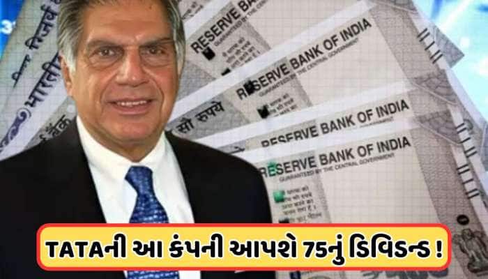 45%થી વધુ તૂટ્યો છે ટાટાનો આ શેર, 172 કરોડનો થયો નફો, આપશે  75નું ડિવિડન્ડ