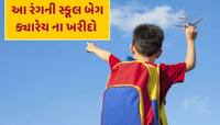 બાળકનું બેગ આ રંગનું હશે તો ભણવામાં નહીં લાગે મન, જાણો શું કહે છે વાસ્તુશાસ્ત્ર