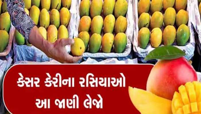 કેરી રસિકોને આનંદો! પોરબંદર યાર્ડમાં 