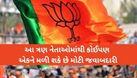 મોદી સરકારના આ 3 મંત્રી પણ ભાજપ અધ્યક્ષ બનવાની રેસમાં, કેબિનેટમાં થશે એન્ટ્રી