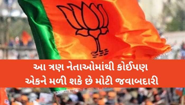 મોદી સરકારના આ 3 મંત્રી પણ ભાજપ અધ્યક્ષ બનવાની રેસમાં, કેબિનેટમાં થશે એન્ટ્રી