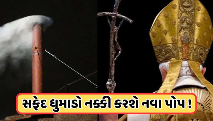 સફેદ ધુમાડો કરશે નામનો ખુલાસો, જાણો કેવી રીતે પસંદ કરવામાં આવે છે નવા પોપ