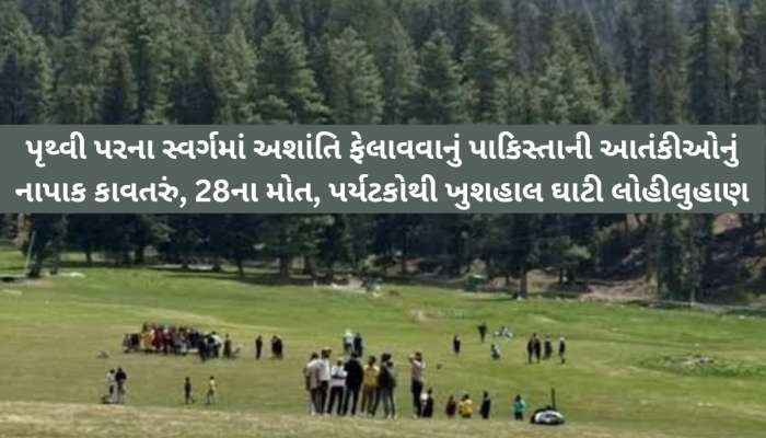 પતિના મૃત્યુ બાદ મોત માગતી પત્નીને આતંકીએ કહ્યું “જા તુજે નહીં મારતા, મોદી કો ઈસ બારે મેં બતા દેના” 