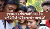 UPSCમાં ઉત્તર ગુજરાતના વિદ્યાર્થીઓનો ડંકો: 6 ઉમેદવાર પાસ, ટોપ-30માં આ 3નો સમાવેશ
