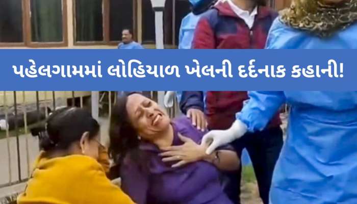 કપડાં કઢાવ્યા...ધાર્મિક ઓળખ કરી અને વરસાવી ગોળીઓ, જાણો હુમલામાં બચેલી મહિલાની પુરી કહાની