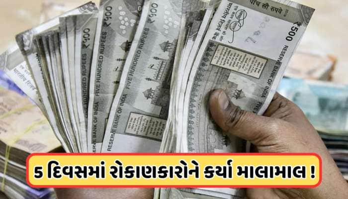 આને કહેવાય શેર ! 5 દિવસમાં 45%થી વધુ ઉછળ્યો આ સ્મોલકેપ શેર, કંપનીનો નફો 63% વધ્યો