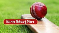 IPL 2025 વચ્ચે દુ:ખદ સમાચાર, આ દિગ્ગજ ઓપનરનું નિધન, ક્રિકેટ જગતમાં શોકની લહેર