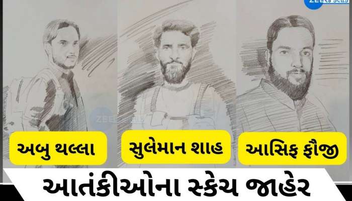 પહેલગામ હુમલાના તપાસ એજન્સીઓએ જાહેર કર્યા આતંકીઓના ફોટા; જુઓ કેવા દેખાતા હતા ચહેરા