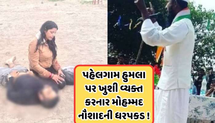 આભાર પાકિસ્તાન, આભાર લશ્કર-એ- તૈયબા, અલ્લાહ તમને ખુશ રાખે, પહેલગામ હુમલા પર યુવકની પોસ્ટ, પોલીસે કરી ઉઠાવ્યો