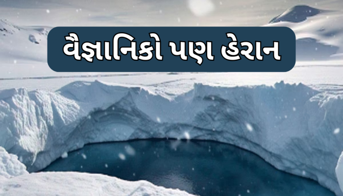 અચાનક ફાટી એન્ટાર્કટિકાની ધરતી, જોવા મળ્યું આટલું મોટું ગાબડું; 40 વર્ષ પછી થયું આવુ