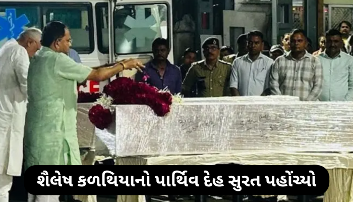 પહેલગામ આતંકી હુમલામાં મૃત્યુ પામનારા શૈલેષ કળથિયાનો મૃતદેહ વતન લવાયો, રાજ્ય સરકારે સહાયની કરી જાહેરાત